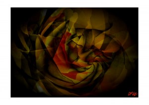 ArtAperture.net - Dar Wolfe - Loneliness - Floral - Showcase of floral beauty achieved through a selective fusion of reality and art